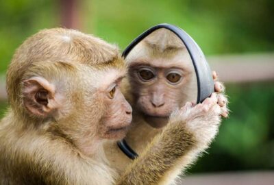 人間って、動物と一緒だね。
